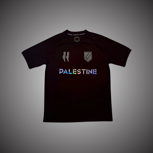 Palestine Reflect